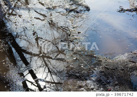 Melted snow and reflection of spring trees in 39671742