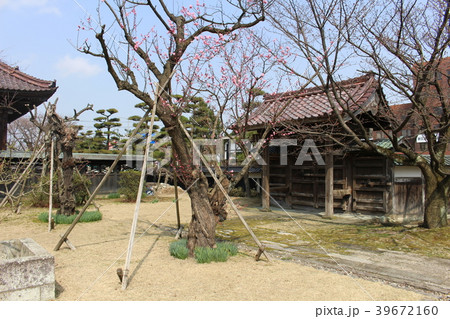 庄内藩校　致道館　山形県　鶴岡市 39672160
