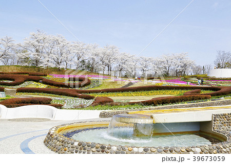 国営みちのく杜の湖畔公園　釜房湖　宮城県 39673059