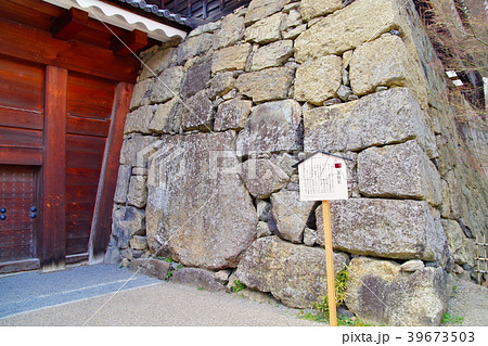 桜　上田城跡公園 39673503