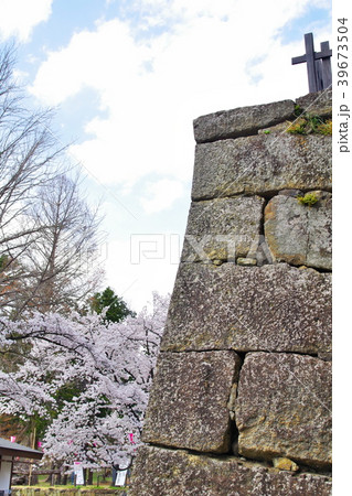 桜　上田城跡公園 39673504