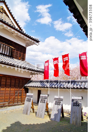 桜 上田城跡公園 桜 上田城跡公園 39673508