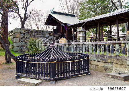 桜 上田城跡公園 桜 上田城跡公園 39673607