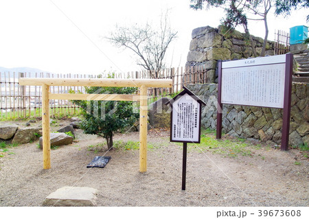 桜 上田城跡公園 桜 上田城跡公園 39673608