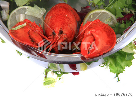 orange lobster isolated 39676376