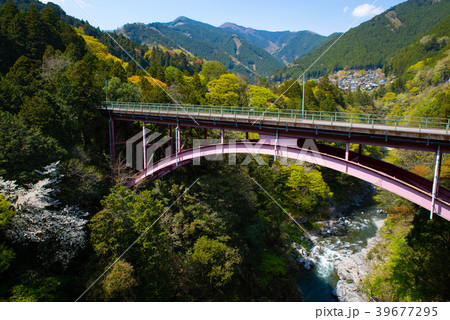 春に色付く山々 東京奥多摩 鳩の巣大橋 b-2 俯瞰 春に色付く山々 東京奥多摩 鳩の巣大橋 b-2 俯瞰 39677295