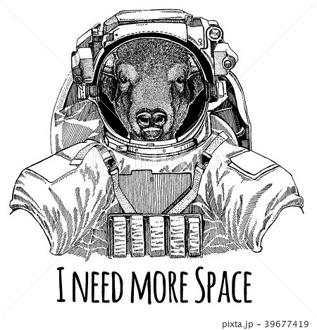 Buffalo, bison,ox, bull Astronaut. Space suit Buffalo, bison,ox, bull Astronaut. Space suit 39677419