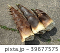 たけのこ 39677575