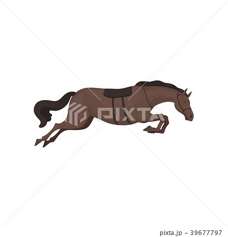 Black running horse, equestrian professional sport 39677797