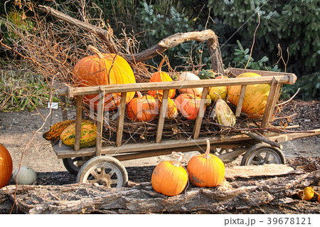 pumpkins halloween background pumpkins halloween background 39678121
