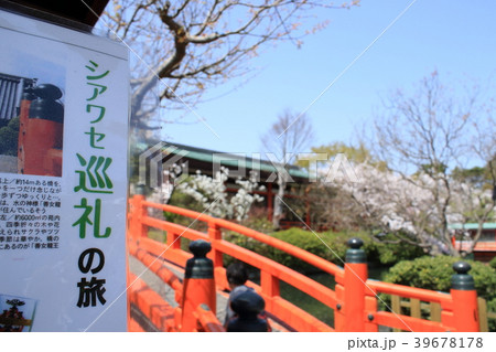 春の京都、神泉苑の法成橋と橋の説明書き 39678178