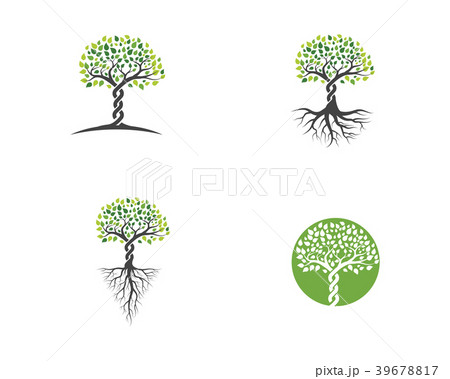 Logos of green Tree leaf vector Logos of green Tree leaf vector 39678817