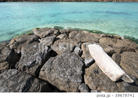 黒島の西の浜 39679741