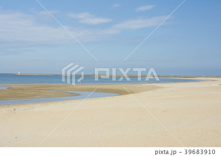 福岡 福岡 39683910