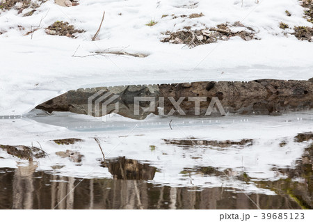 Partially frozen forest river 39685123