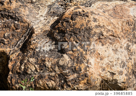 Stromatolite fossils in Gyeongsan, Korea  39685885