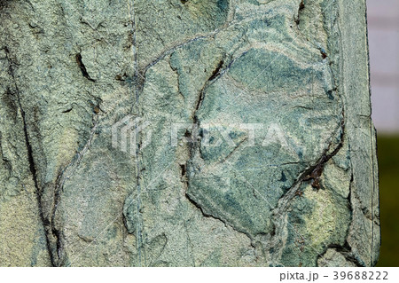 Surface of stone Serpentine  39688222