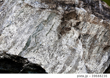Surface of stone Wollastonite 39688236