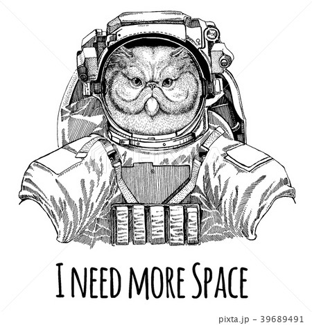Portrait of fluffy persian cat Astronaut. Space 39689491