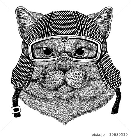 British cute cat with motorcycle helmet. Vintage 39689539