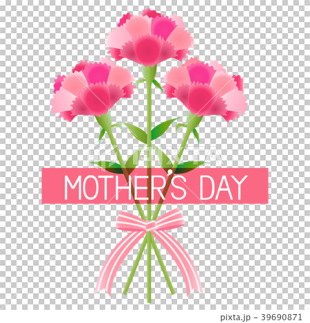 Mother's Day 8 Carnation Mother's Day 8 Carnation 39690871