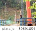 野生の猿 39691854