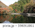 もみじ池 39691861