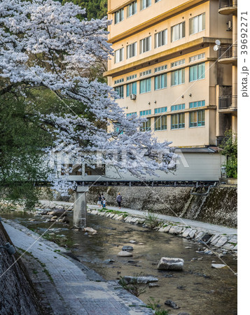 桜が満開の湯村温泉 桜が満開の湯村温泉 39692271