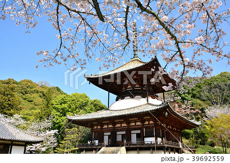 根来寺　大塔 39692559