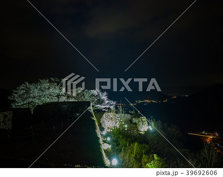 竹田城跡の夜桜ライトアップ 39692606