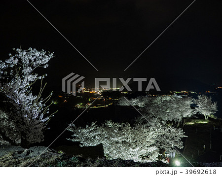 竹田城跡の夜桜ライトアップ 39692618