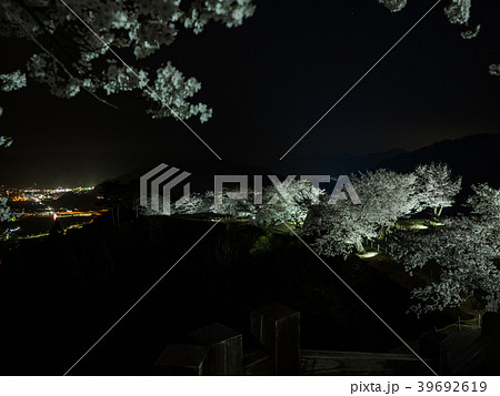 竹田城跡の夜桜ライトアップ 39692619