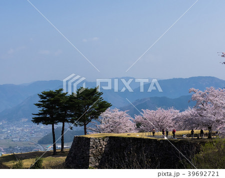 桜が満開の竹田城跡 桜が満開の竹田城跡 39692721