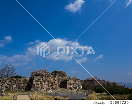 桜が満開の竹田城跡 桜が満開の竹田城跡 39692729