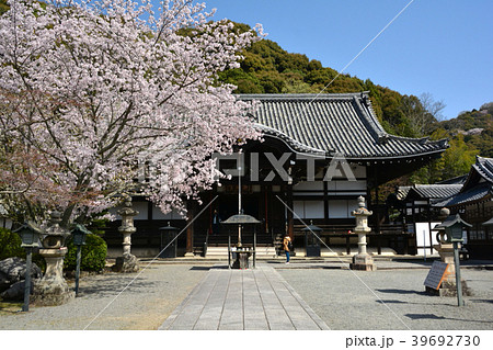 根来寺 光明真言殿(光明殿) 根来寺 光明真言殿(光明殿) 39692730