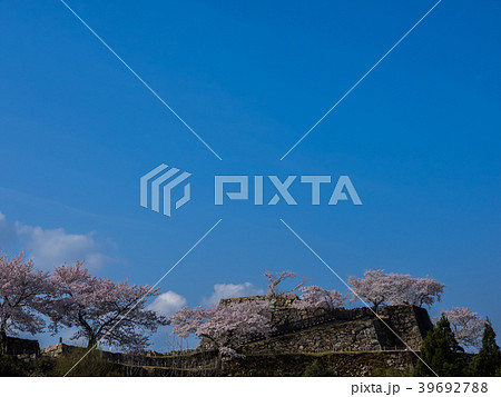 桜が満開の竹田城跡 桜が満開の竹田城跡 39692788