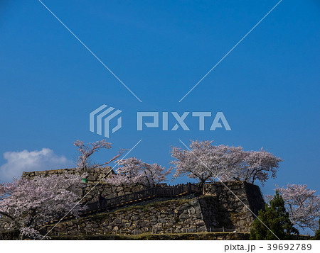 桜が満開の竹田城跡 桜が満開の竹田城跡 39692789