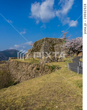 桜が満開の竹田城跡 桜が満開の竹田城跡 39692928