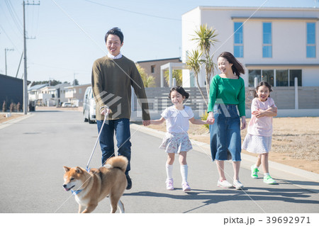 柴犬の散歩をする小学生2人姉妹と家族 39692971