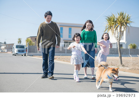 柴犬の散歩をする小学生2人姉妹と家族 39692973