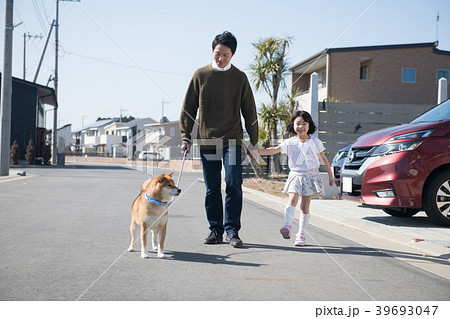 犬の散歩をする小学生の娘と父親の写真素材