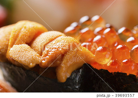 日本の美味しい鮨 39693557
