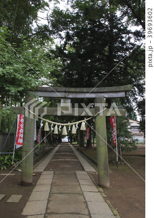 社殿修理工事中の三芳野神社(川越市) 社殿修理工事中の三芳野神社(川越市) 39693602