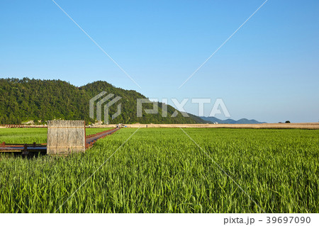順天湾 空 山 39697090
