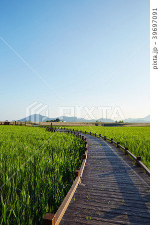 順天湾 空 山 39697091