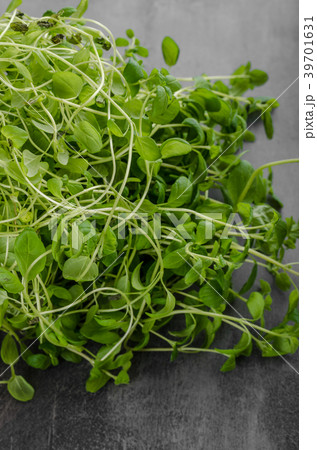 Marjoram bio herbs 39701631