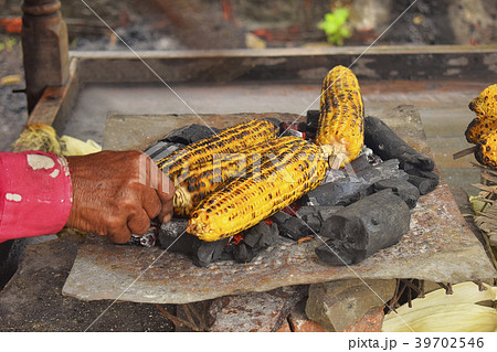 Corn being roasted on coal, Pune, Maharashtra. Corn being roasted on coal, Pune, Maharashtra. 39702546