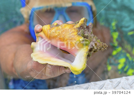 The girl diver picked up the sea shell from seabed 39704124