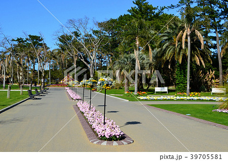 宮交ボタニックガーデン青島(宮崎県立青島亜熱帯植物園) 南国ムードあふれる植物園 宮交ボタニックガーデン青島(宮崎県立青島亜熱帯植物園) 南国ムードあふれる植物園 39705581