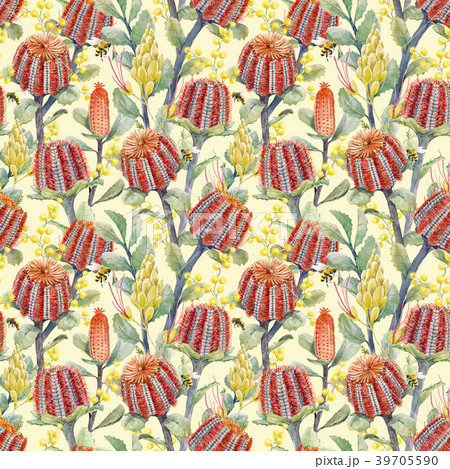 Watercolor australian banksia floral pattern 39705590